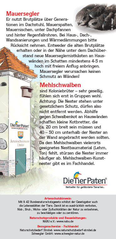 Artenschutzturm Untitz © Die TierPaten