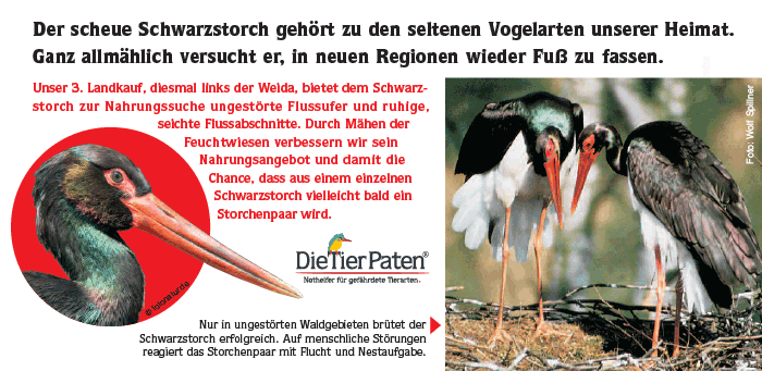Flyer © Die TierPaten