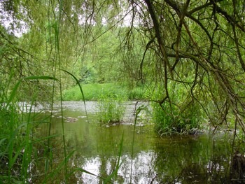 Blick auf die 